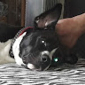 Meet your Posher, Margo